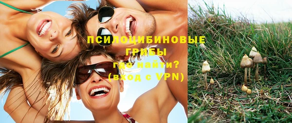 a pvp Белокуриха