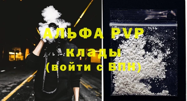 ПСИЛОЦИБИНОВЫЕ ГРИБЫ Белоозёрский