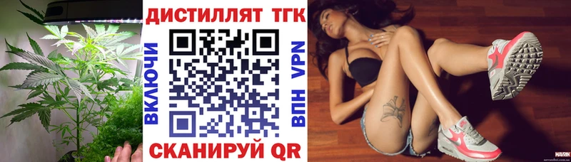 ТГК концентрат  Мезень 