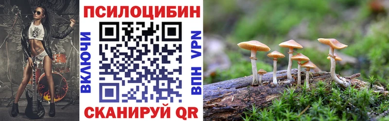 купить наркотик  Мезень  ссылка на мегу tor  Галлюциногенные грибы прущие грибы 